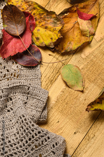 dry autumn leaves on woolen background