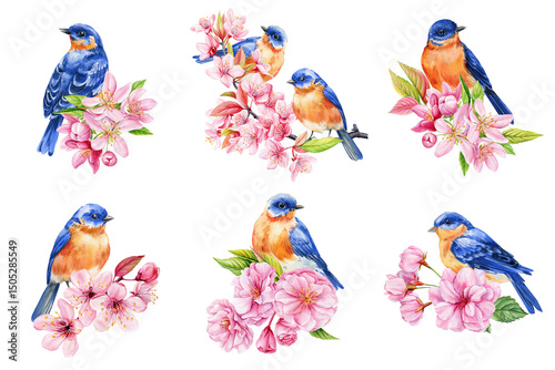 Birds set. Bluebirds with pink blossoms. Watercolor spring flowers Bird illustration. Hand-painted nature summer poster