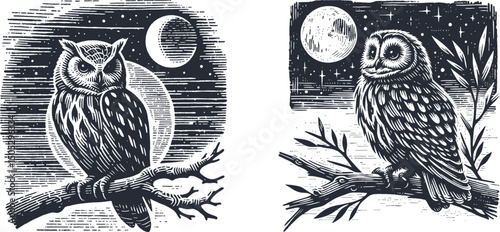 Owl on Branch at Night – Detailed Engraving Illustration with Full Moon, Stars, and Forest Elements – Retro Nocturnal Bird Artwork