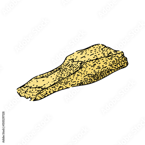 aroma palo santo sketch hand drawn vector