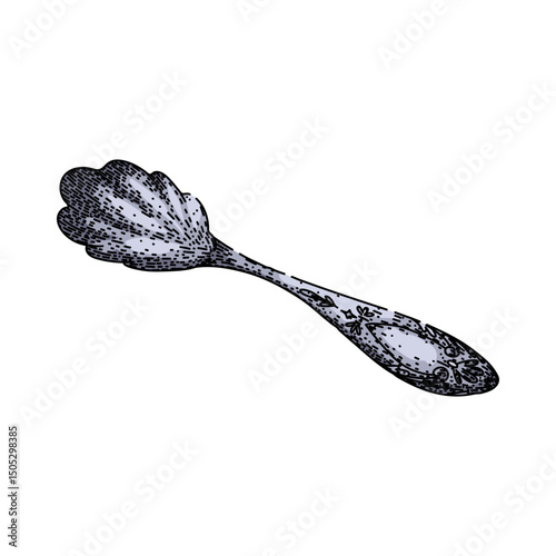 sterling spoon engraved silver sketch hand drawn vector
