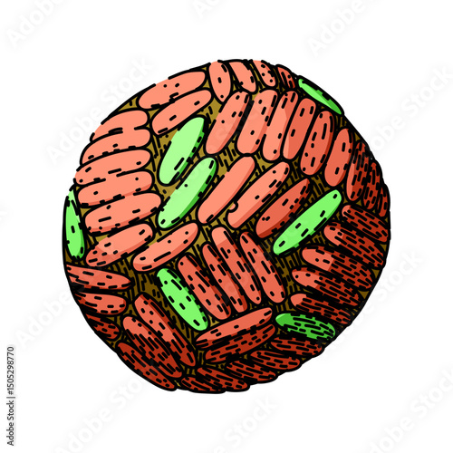 surfing virus sketch hand drawn vector