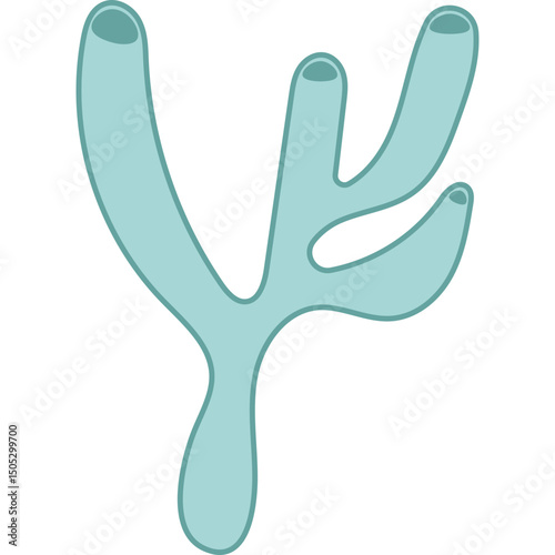 Flat Coral Reef