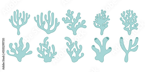 Flat Coral Reef