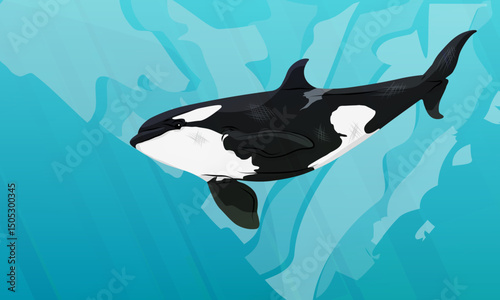 Killer whale swims in the ocean water. Seascape. Realistic vector landscape
