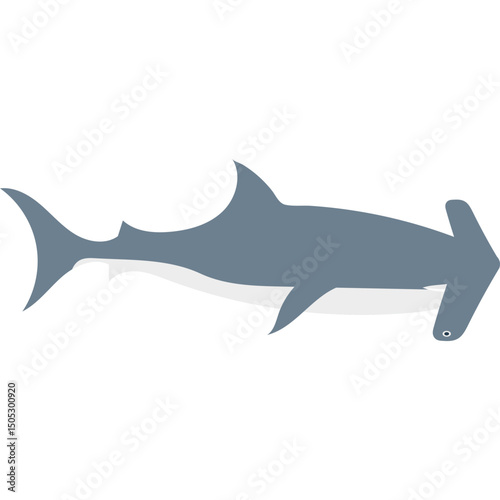 Sea Animal Illustration