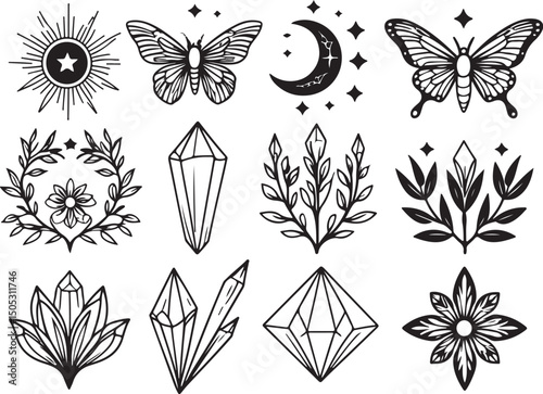 black and white butterfly
