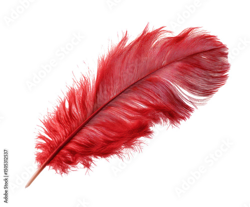 Vibrant red feather for creative design and craft projects on a transparent background, cut out