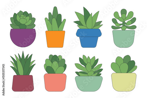 Succulents plants in pot Vector illustration icon set 