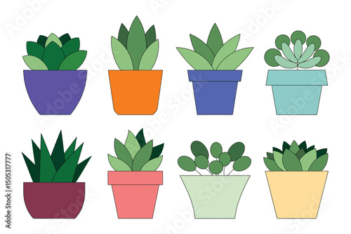 Succulents plants in pot Vector illustration icon set 