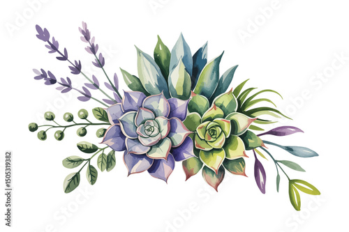 Green colorful succulent bouquets vector design objects. Eucalyptus selection, echeveria, herbs, various plants and leaves. Natural greenery set. All elements are isolated and editable