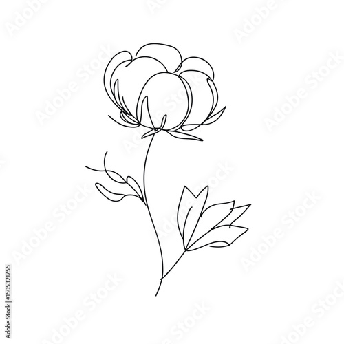 Line drawing of a cotton flower in minimalist style on white background  