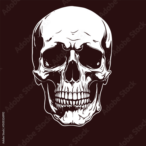 Stylized Skull With Dark Background