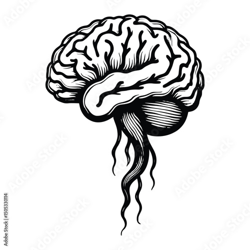 Stylized Brain Rendered As Line Art