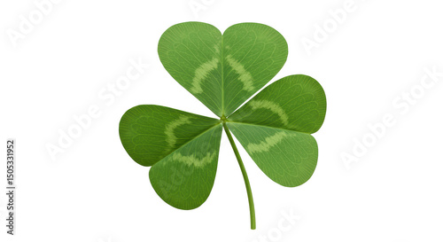 Isolated Shamrock