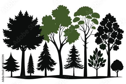 Silhouetted Trees of Various Types and Sizes Against a White Background