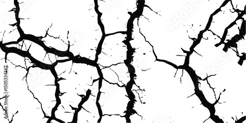 Deep cracks intertwine across a stark white surface, creating an abstract tapestry that showcases the beauty within destruction. Nature’s design captivates the observer’s imagination.
