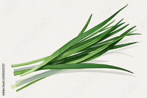 Purple Blooms & Brushstrokes herb chives (Allium schoenoprasum) isolated watercolor vector illustration svg