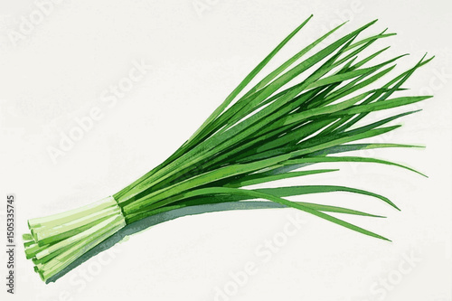 Allium Elegance in Wash herb chives (Allium schoenoprasum) isolated watercolor vector illustration svg