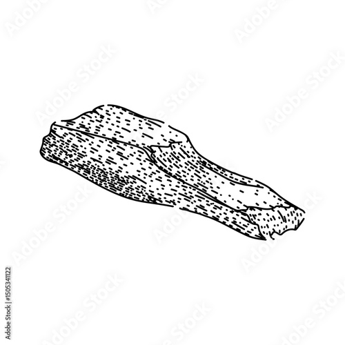 aroma palo santo sketch hand drawn vector
