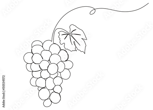 continuous one line art with curved and twisted lines of a grape image. vector illustration