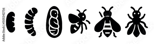Bee life cycle: egg, larva, pupa, adult stages illustrated