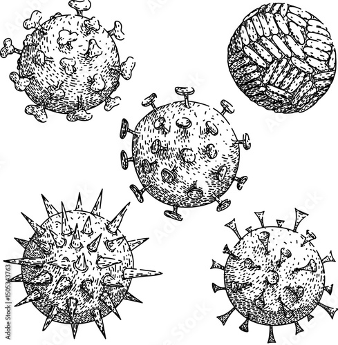virus set sketch hand drawn vector