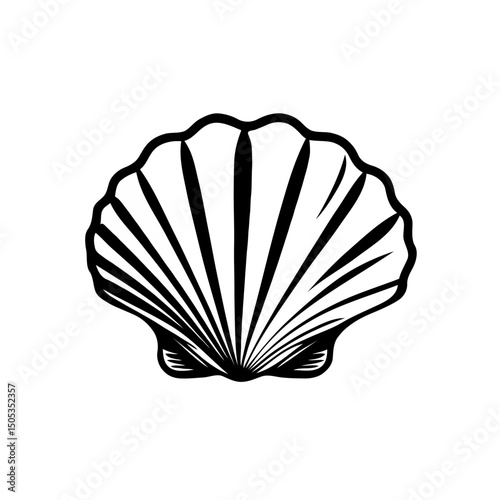Realistic sea shell drawing vector illustration 
