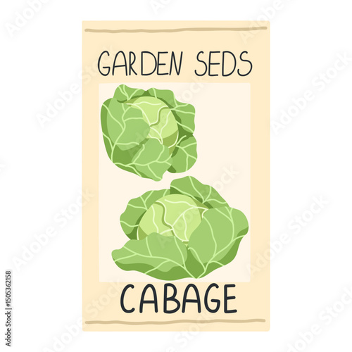 Green cabbage garden seed package vector illustration. Whole raw cabbage image isolated on white background. Ripe salad vegetable packaging design for home agricultural farm