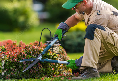 Foto Gardener Trims Shrubs in a Vibrant Backyard Garden During a Sunny Afternoon