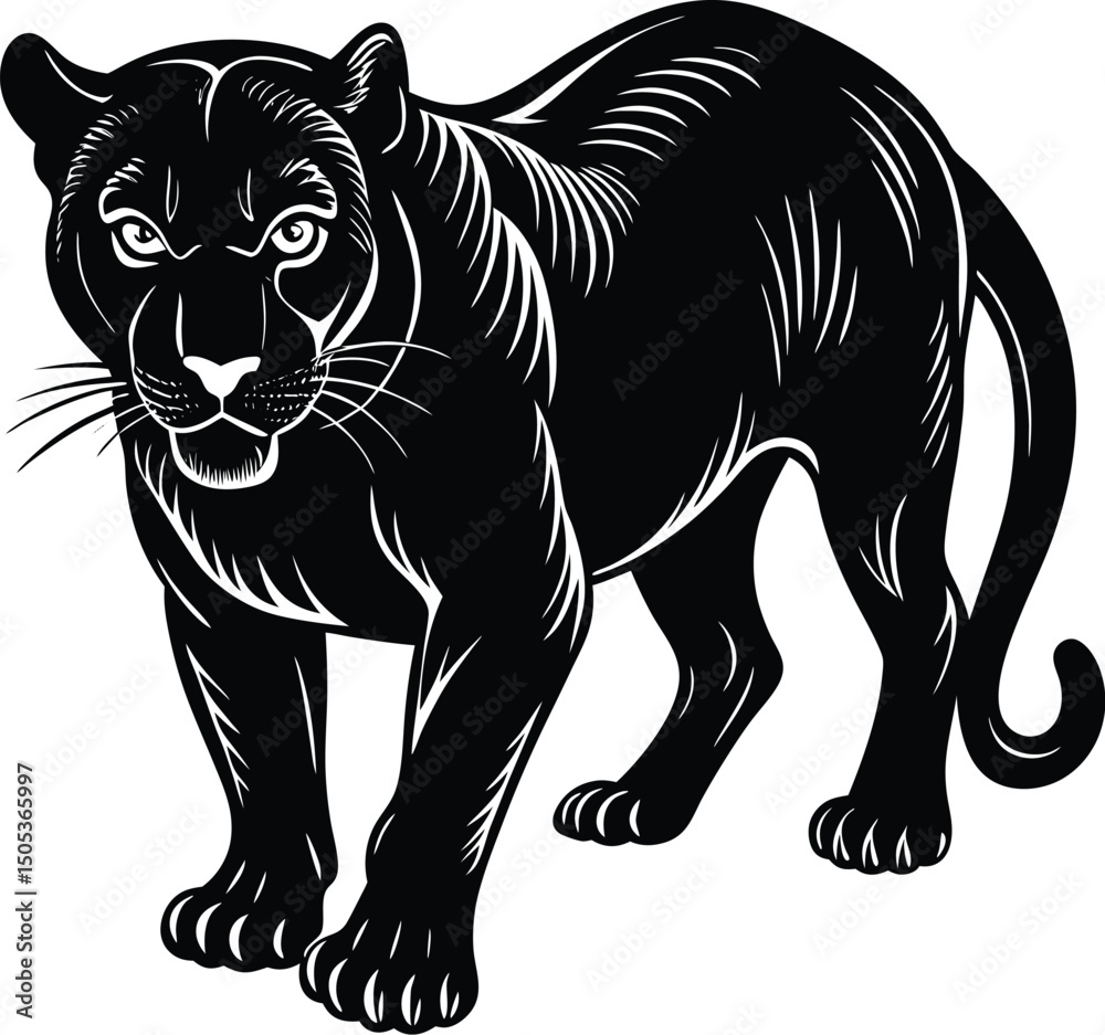 Fototapeta premium Panther in Stalking Pose