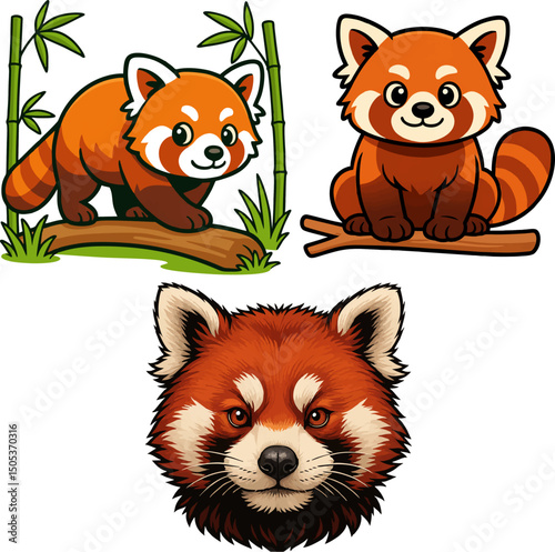 Red panda vector.eps