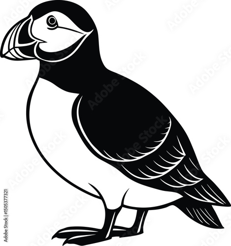 Puffin Standing