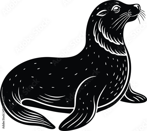 Sea Lion Resting