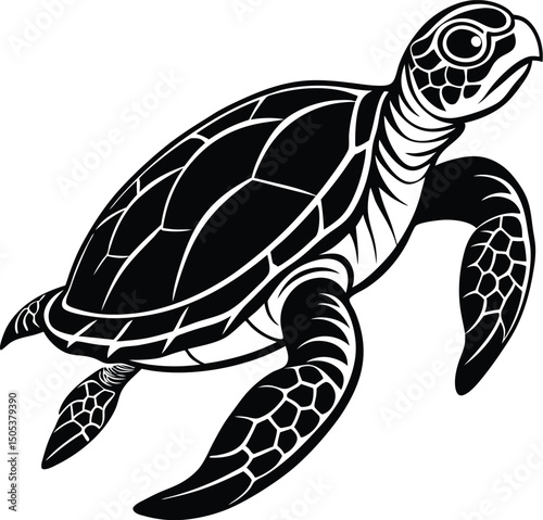Sea Turtle Swimming