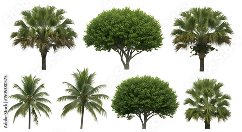 Isolated greenery featuring trees on transparent backdrop