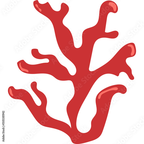 Flat Coral Reef 