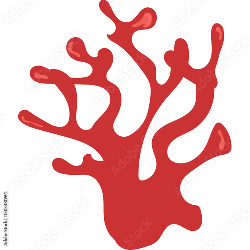 Flat Coral Reef 
