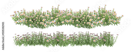 grass with flowers