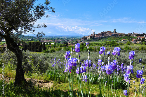 Panorama primaverile, Castiglion Fiorentino, Italia
