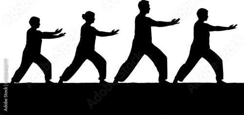 Tai Chi Chuan Gentle Movement for Health and Wellness