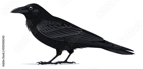 Crow Silhouette – Black Bird Vector Side Profile