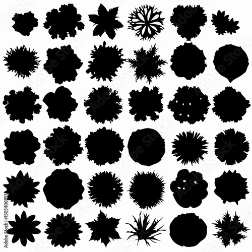 36 Black and White Top-Down Tree Silhouettes, Vector Illustration