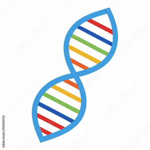dna helix on white background