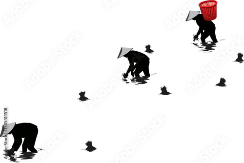 Silhouette of Rice Farmers Working in Paddy Fields A Visual Depiction of Rural Asian Agriculture