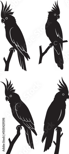 Cockatoo Bird Sitting on Tree Branch Icon Silhouette Vector Illustration