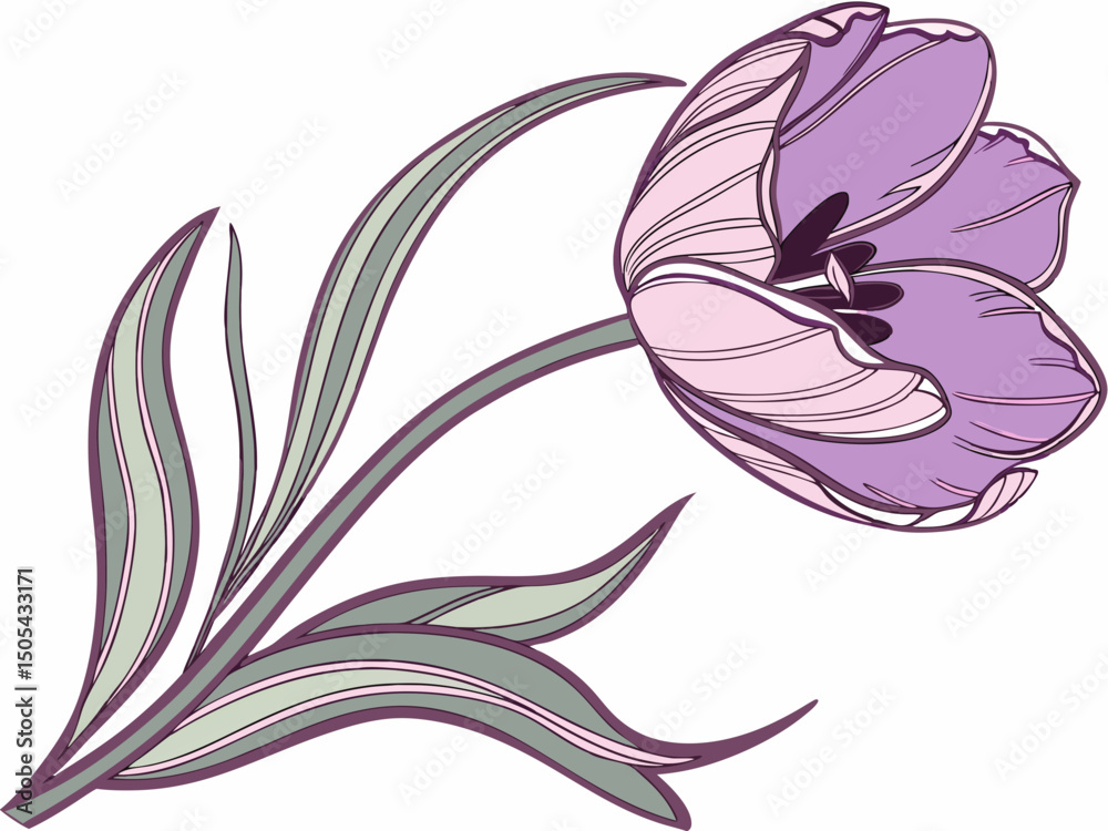 Fototapeta premium Purple Tulip Flower Vector Illustration