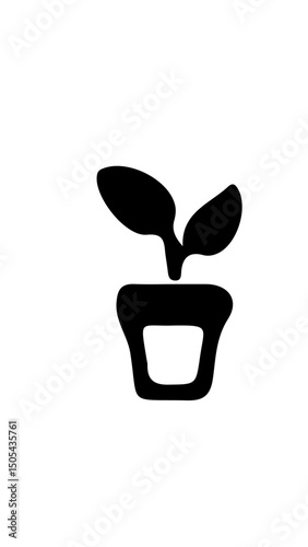 planta en maceta