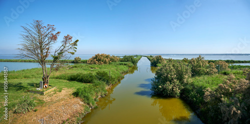 valli di comacchio
