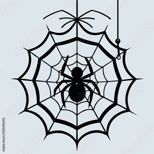 spider and web